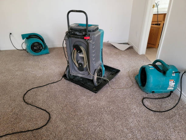 Best Water damage contractors near me  in Woodburn, VA
