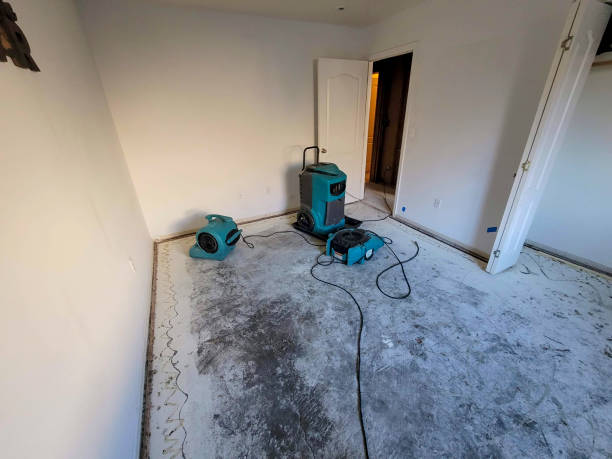 Best Water damage contractors near me  in Woodburn, VA